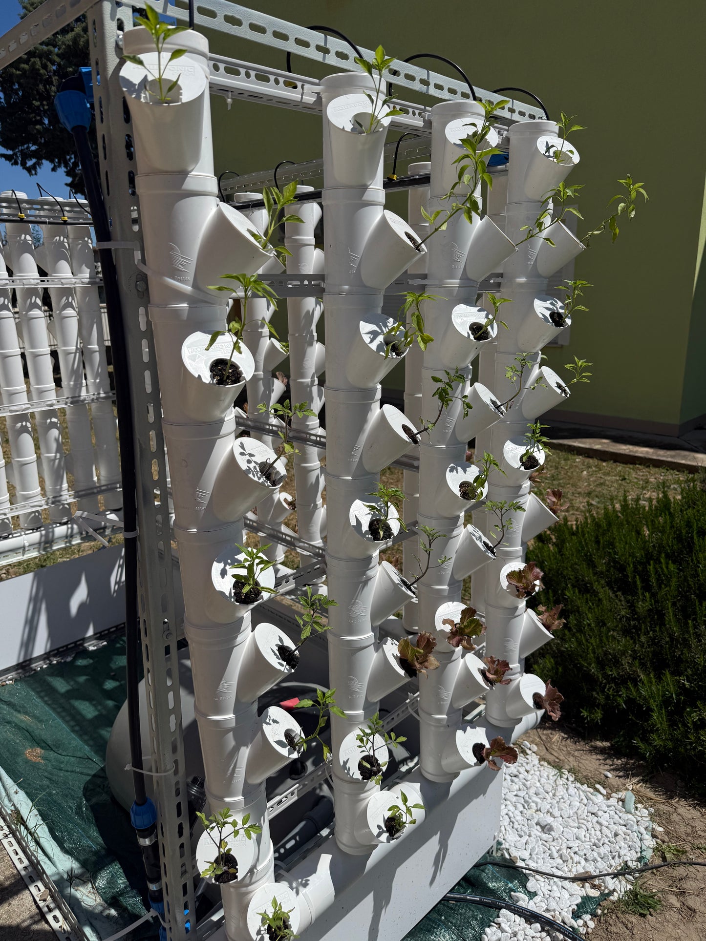 Modulo idroponico con scarico