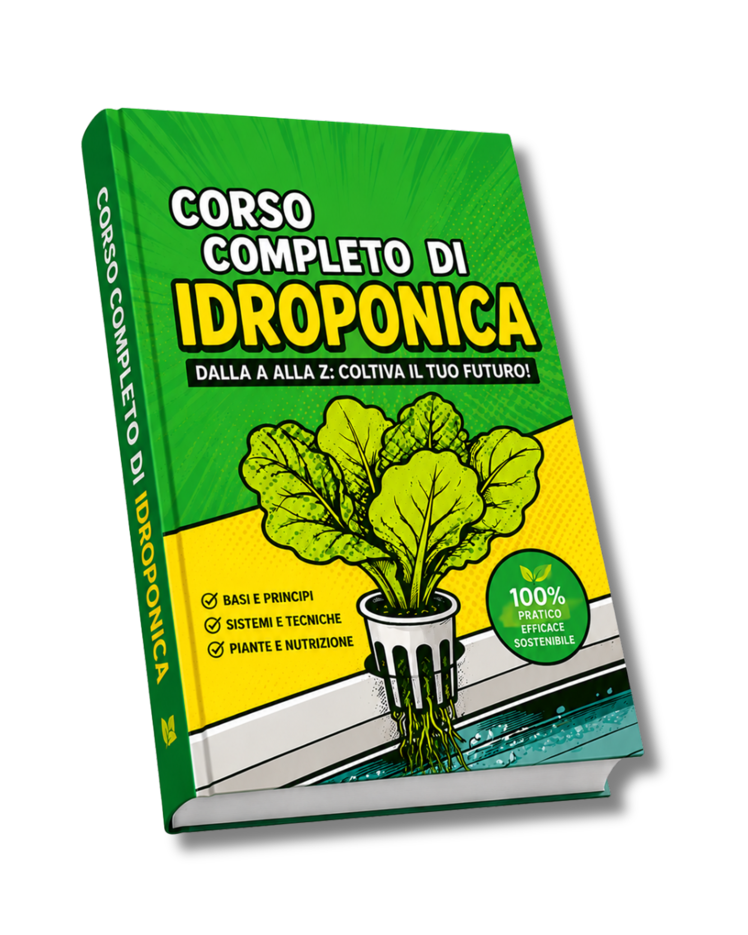 libro corso idroponica iniziare a coltivare idroponica