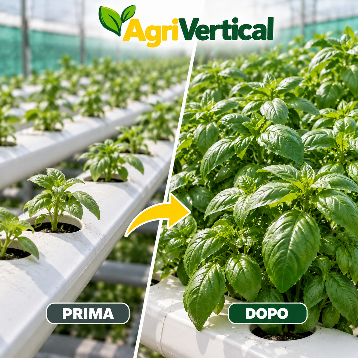 Fertilizzante A e B per idroponica - Agrivertical ONE XXL - Imposte incluse. Spedizione gratuita in Italia.